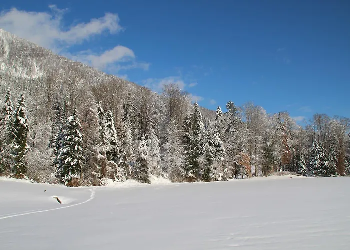 Haus Alpenblick 公寓 Saint Wolfgang