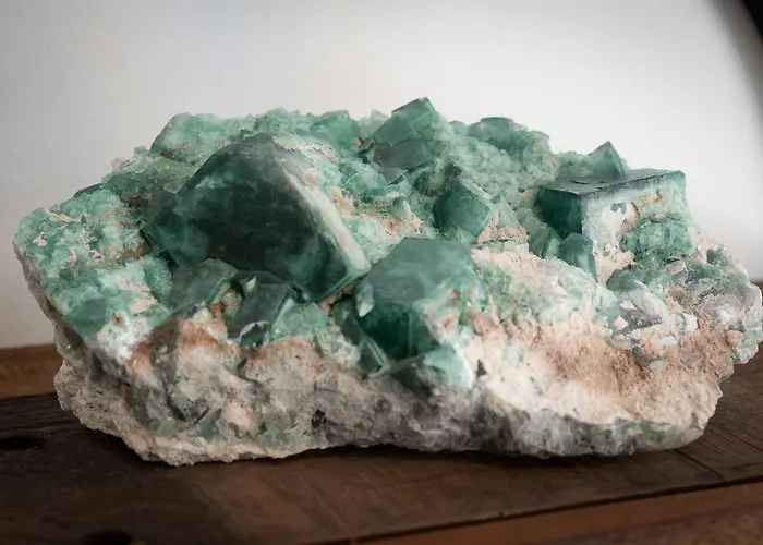 公寓 Haus Alpenblick